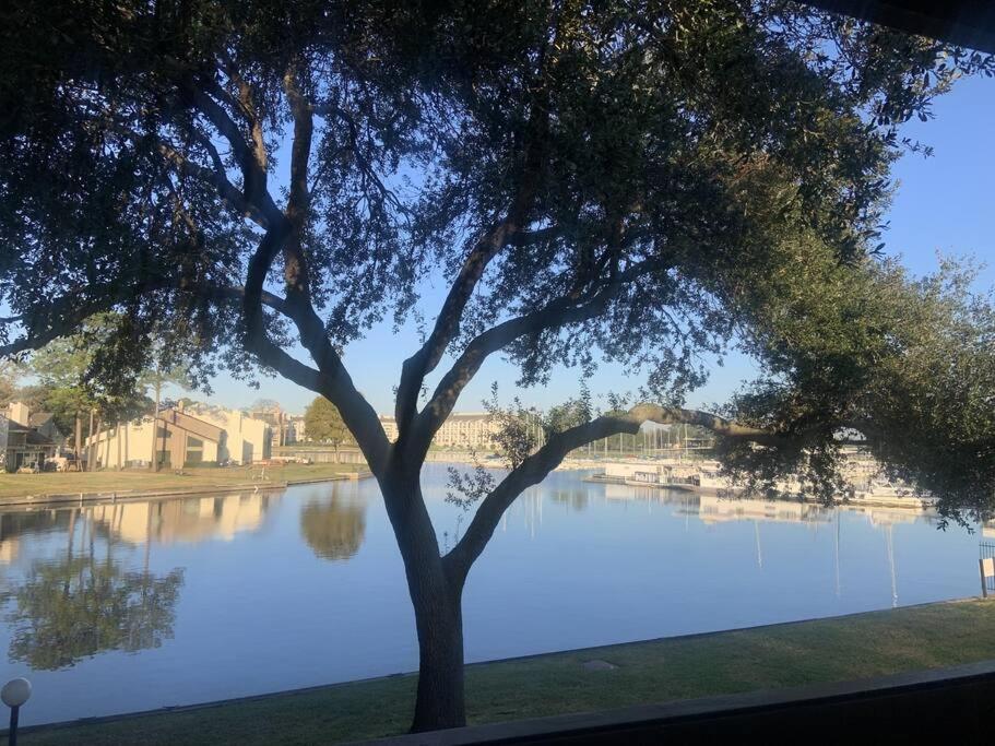 Apartment Lakeside Daze!