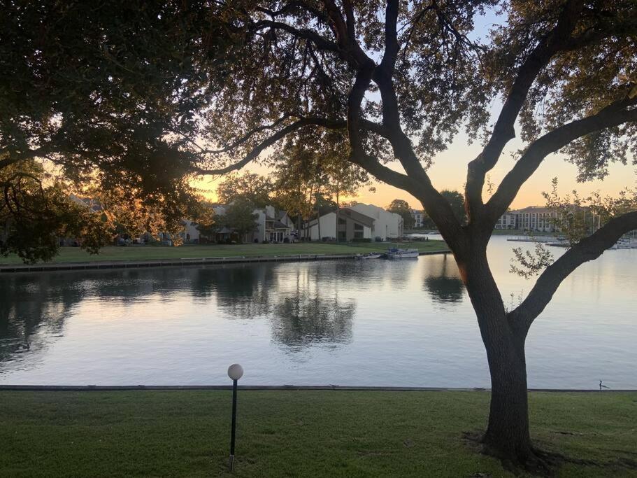 Lakeside Daze! Apartment Montgomery