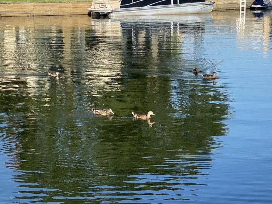 Lakeside Daze! * Montgomery